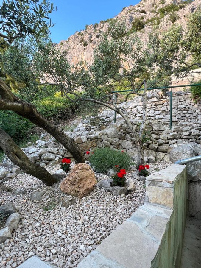 Villa Pelargonia ماكارسكا المظهر الخارجي الصورة